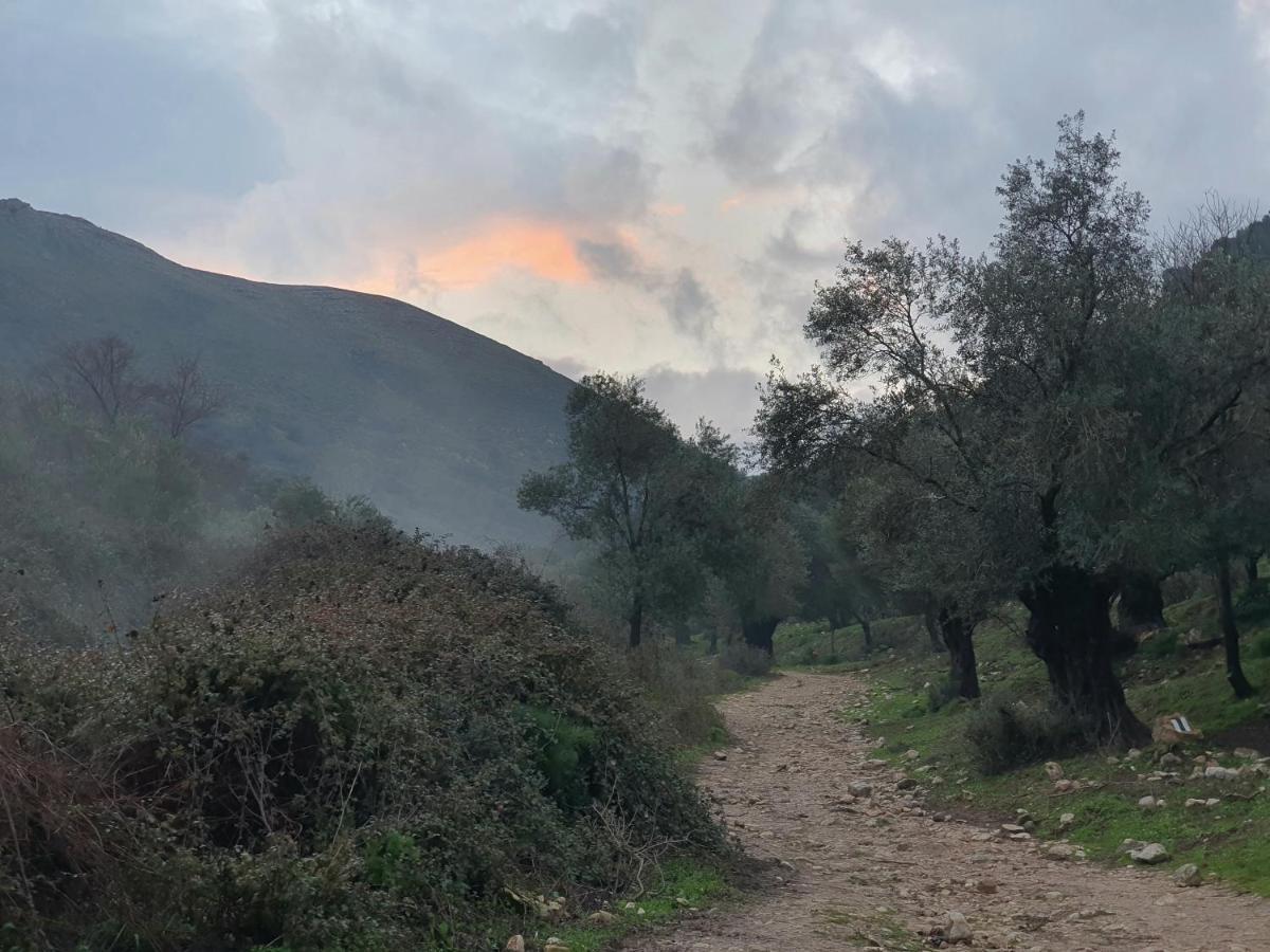 Vila הפינה שלה -Hapina Shella ראש פינה העתיקה Exteriér fotografie